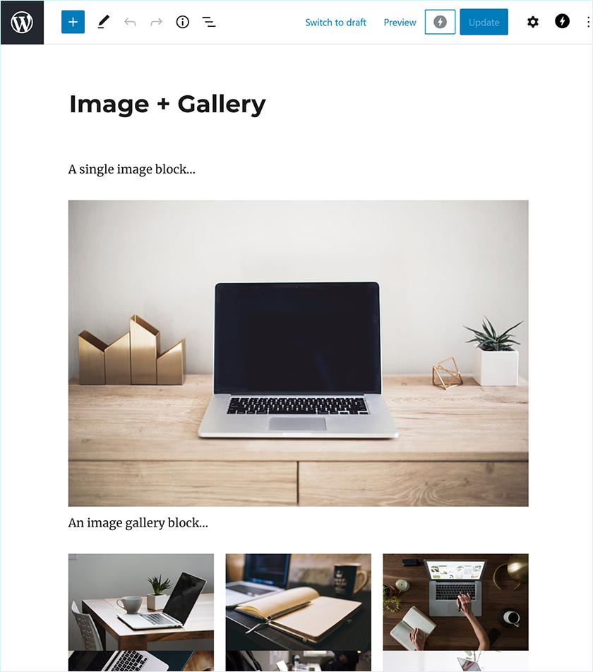 Webp Image And Gallery Post Cropped 1.png