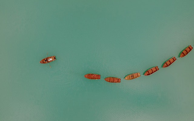 2024 WordPress 現狀，WordPress 正在消逝嗎 ?