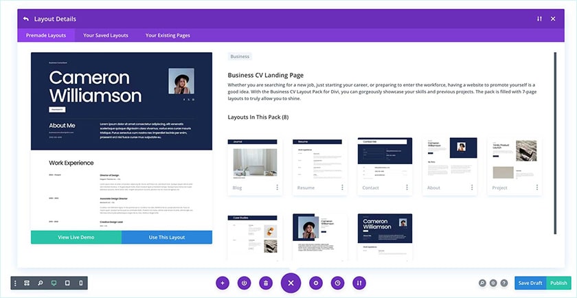 Business Cv Layout Pack For Divi 2