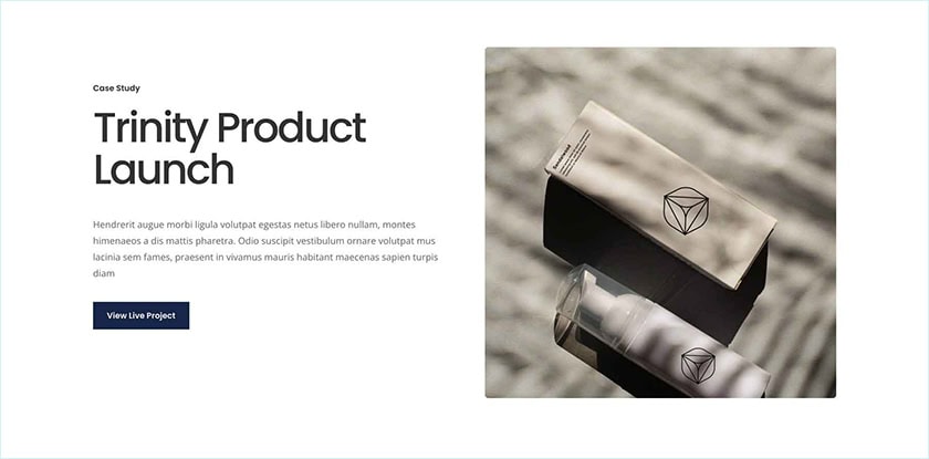 Business Cv Project Page