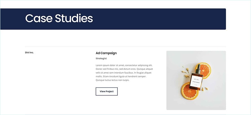 Business Cv Projects Page