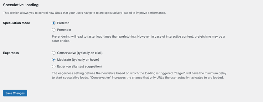 Prefetch Speculative Loading