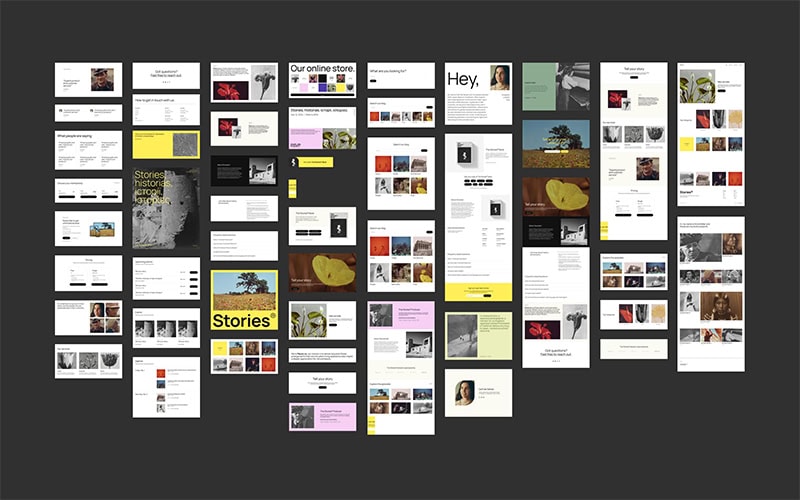 twenty twenty five 2