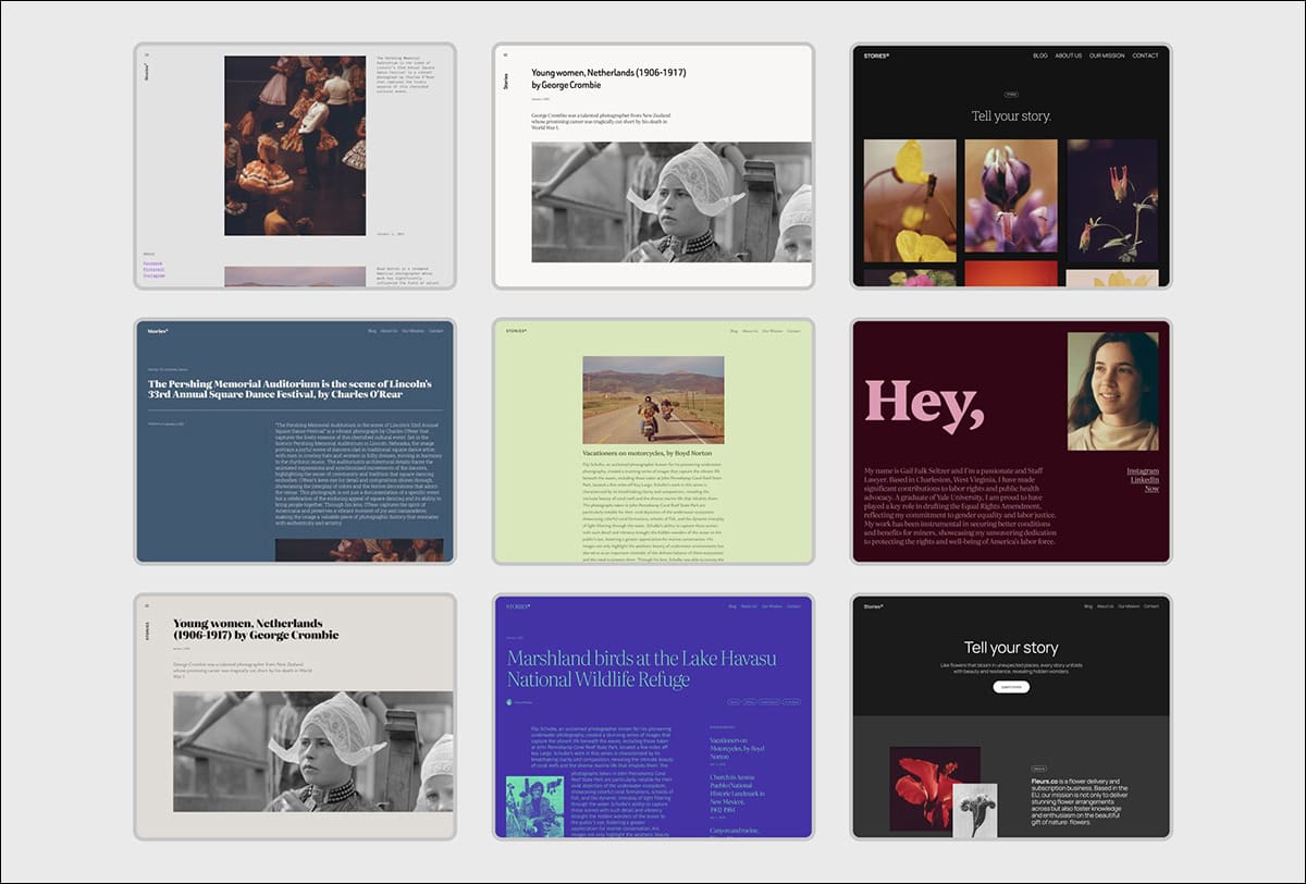 twenty twenty five 5