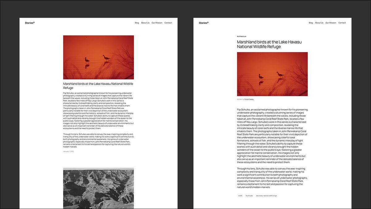 twenty twenty five 6