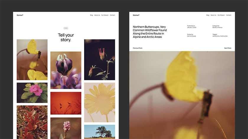 twenty twenty five 7