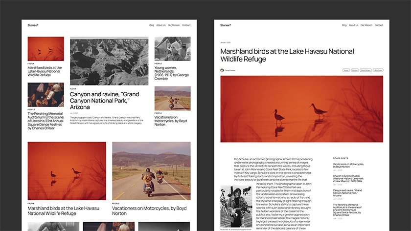 twenty twenty five 8