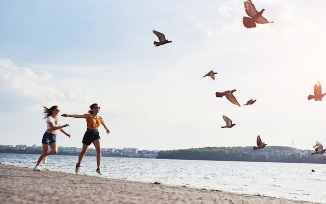 Automattic vs WP Engine 事件時間軸