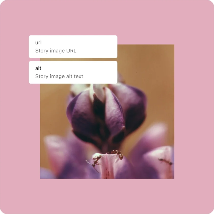 feature block bindings 2